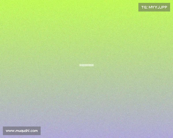 散打冠军比赛视频大全